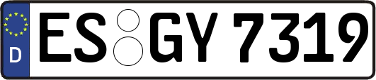 ES-GY7319