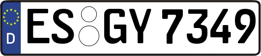 ES-GY7349