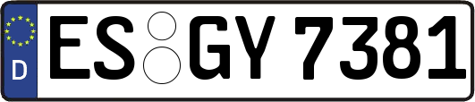 ES-GY7381
