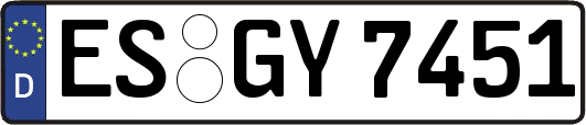 ES-GY7451