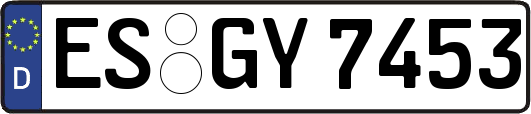 ES-GY7453