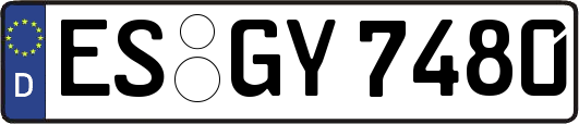 ES-GY7480