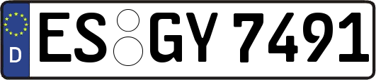 ES-GY7491
