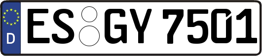 ES-GY7501