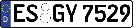 ES-GY7529