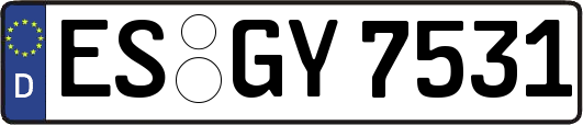 ES-GY7531