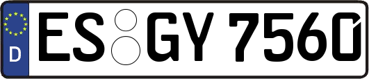 ES-GY7560