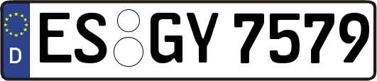 ES-GY7579