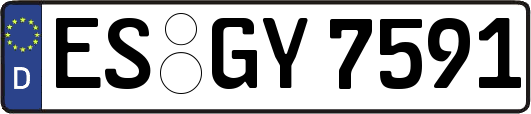 ES-GY7591