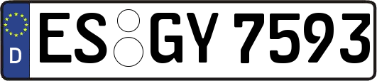 ES-GY7593