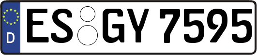 ES-GY7595