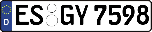 ES-GY7598