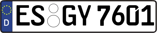 ES-GY7601
