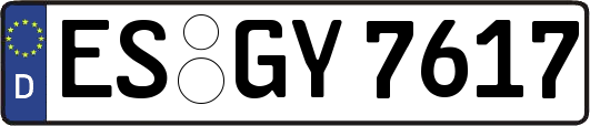 ES-GY7617