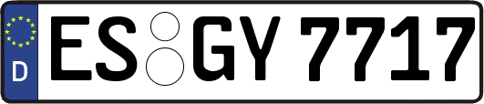 ES-GY7717