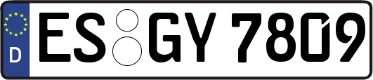 ES-GY7809