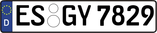 ES-GY7829