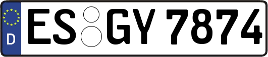 ES-GY7874