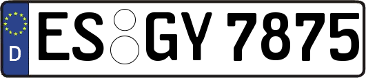 ES-GY7875