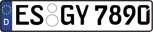 ES-GY7890