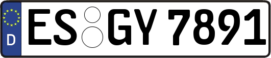 ES-GY7891