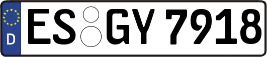 ES-GY7918