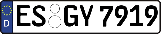 ES-GY7919