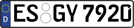 ES-GY7920