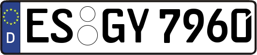 ES-GY7960