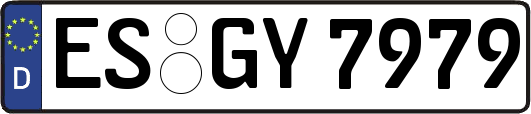 ES-GY7979