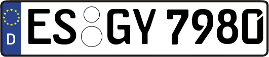 ES-GY7980