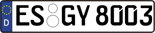 ES-GY8003