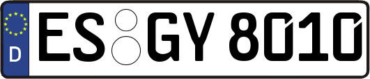 ES-GY8010