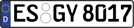 ES-GY8017