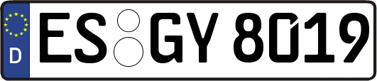 ES-GY8019