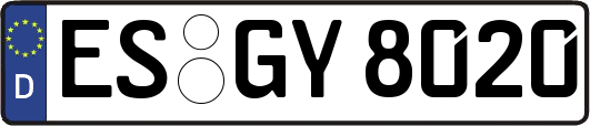 ES-GY8020