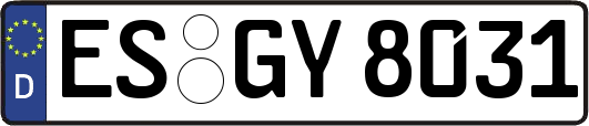 ES-GY8031
