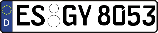 ES-GY8053
