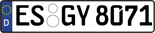 ES-GY8071