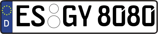 ES-GY8080