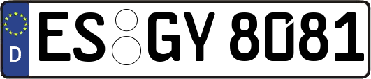 ES-GY8081
