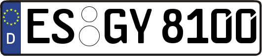 ES-GY8100