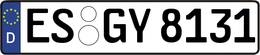 ES-GY8131