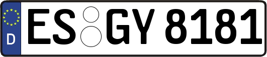 ES-GY8181
