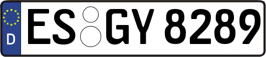 ES-GY8289