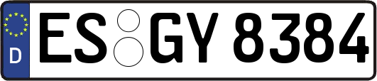 ES-GY8384