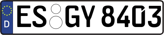 ES-GY8403