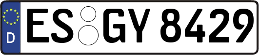 ES-GY8429