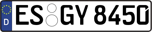 ES-GY8450