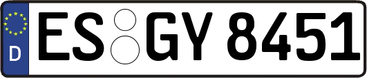 ES-GY8451